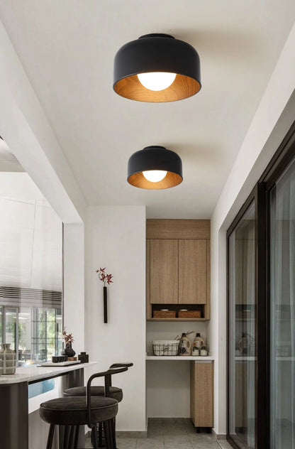 Modern Ceiling Light