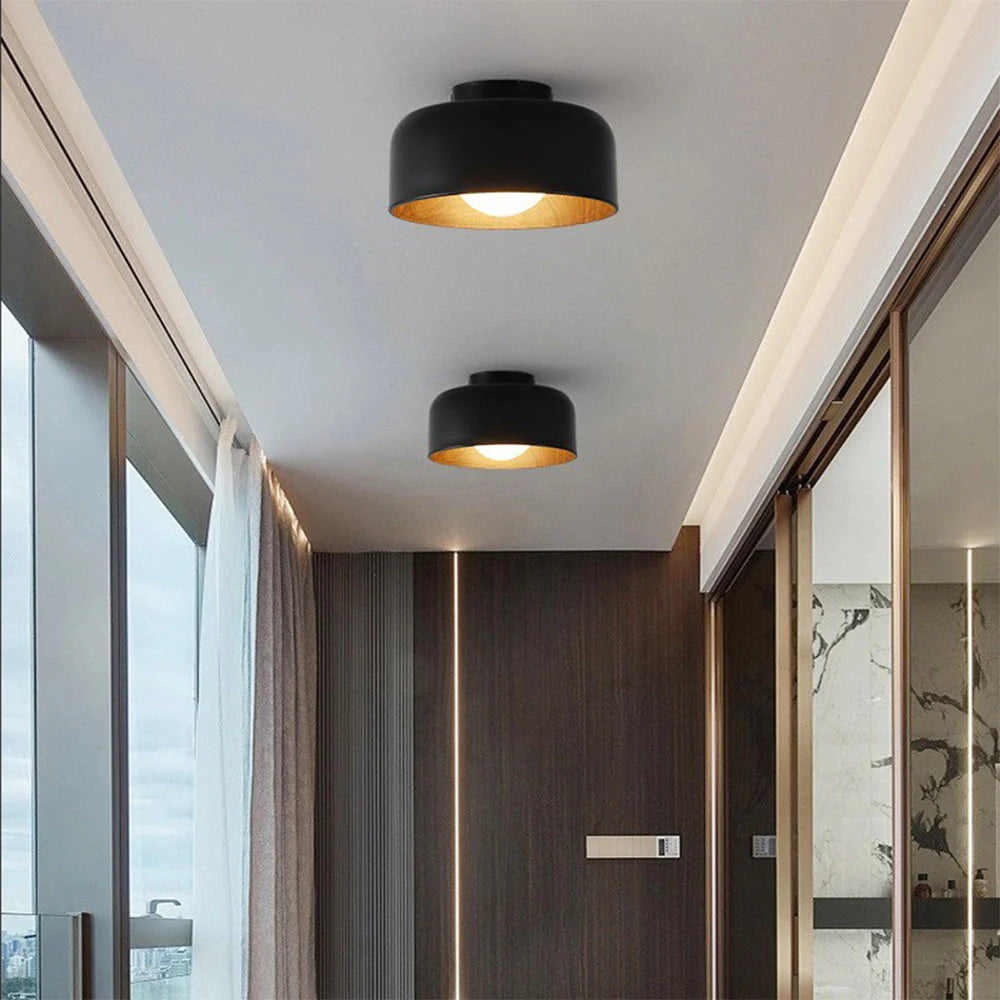 Modern Ceiling Light