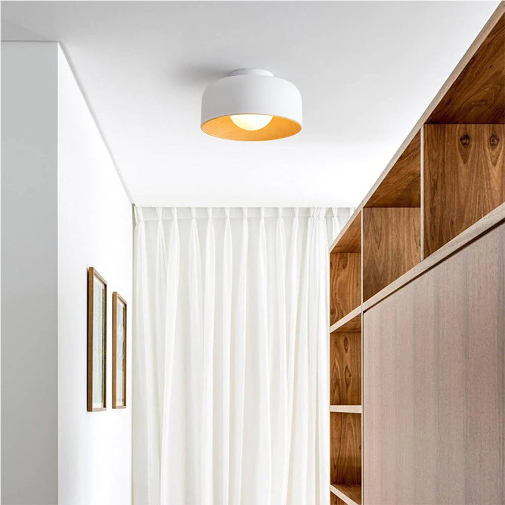 Modern Ceiling Light