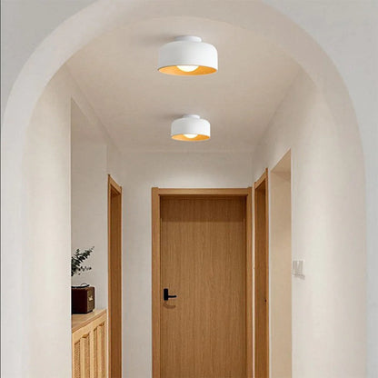 Modern Ceiling Light