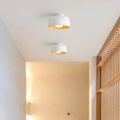 Modern Ceiling Light