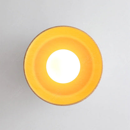 Modern Ceiling Light