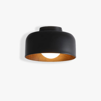 Modern Ceiling Light