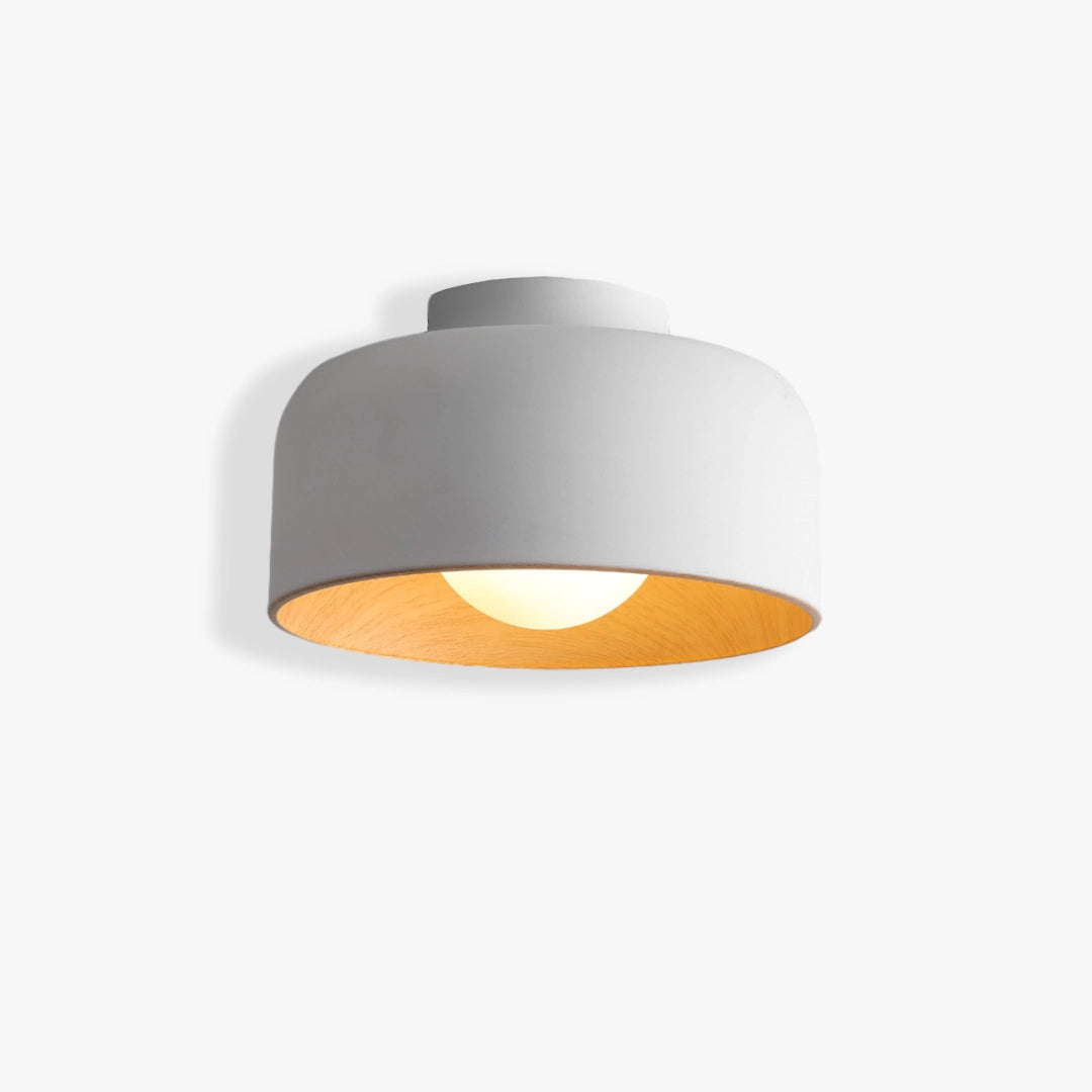 Modern Ceiling Light