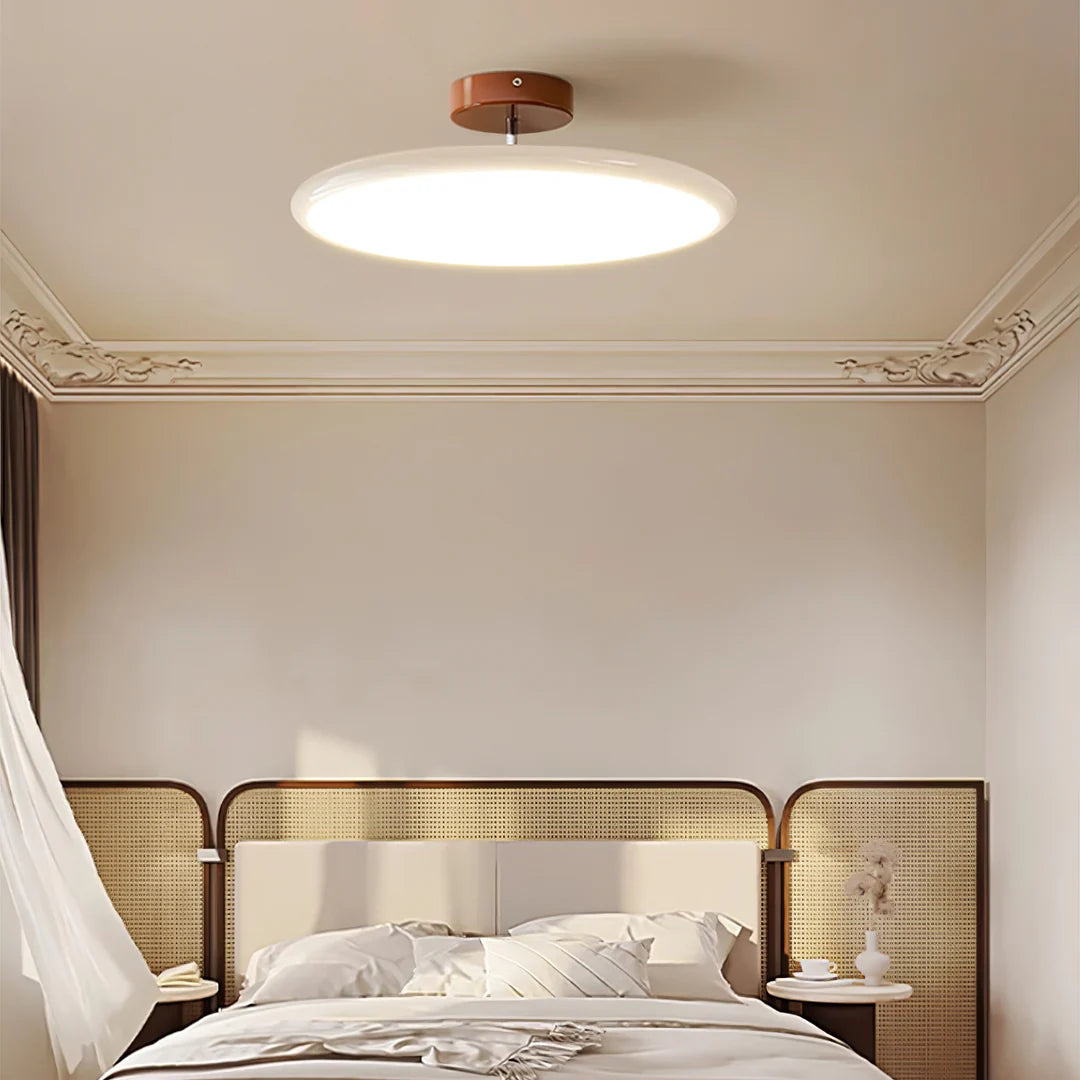 Modern Adjustable Ceiling Light - Loonglight