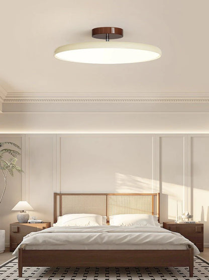 Modern Adjustable Ceiling Light - Loonglight