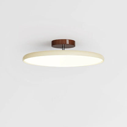Modern Adjustable Ceiling Light - Loonglight