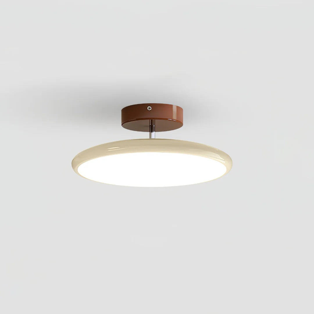 Modern Adjustable Ceiling Light - Loonglight