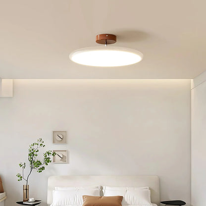 Modern Adjustable Ceiling Light - Loonglight