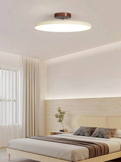 Modern Adjustable Ceiling Light - Loonglight