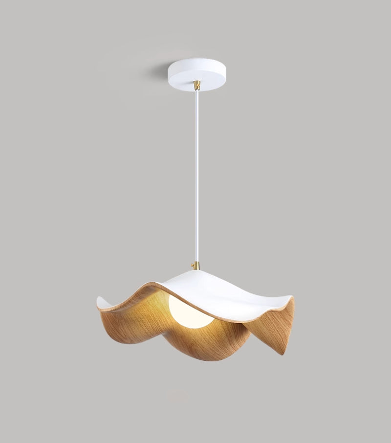 Modern Casia Pendant Light - Loonglight