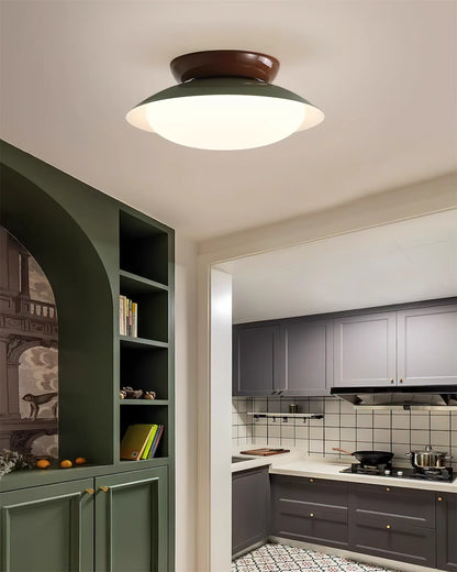 Modern Paulo Ceiling Light - Loonglight