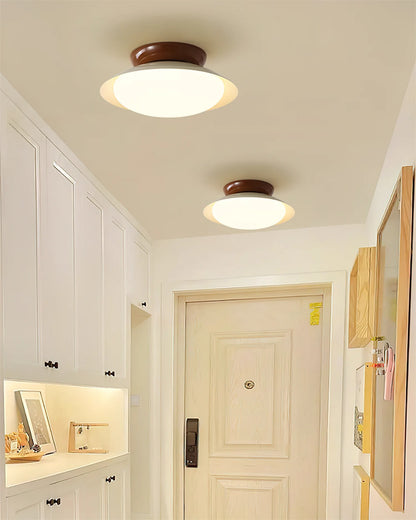 Modern Paulo Ceiling Light - Loonglight