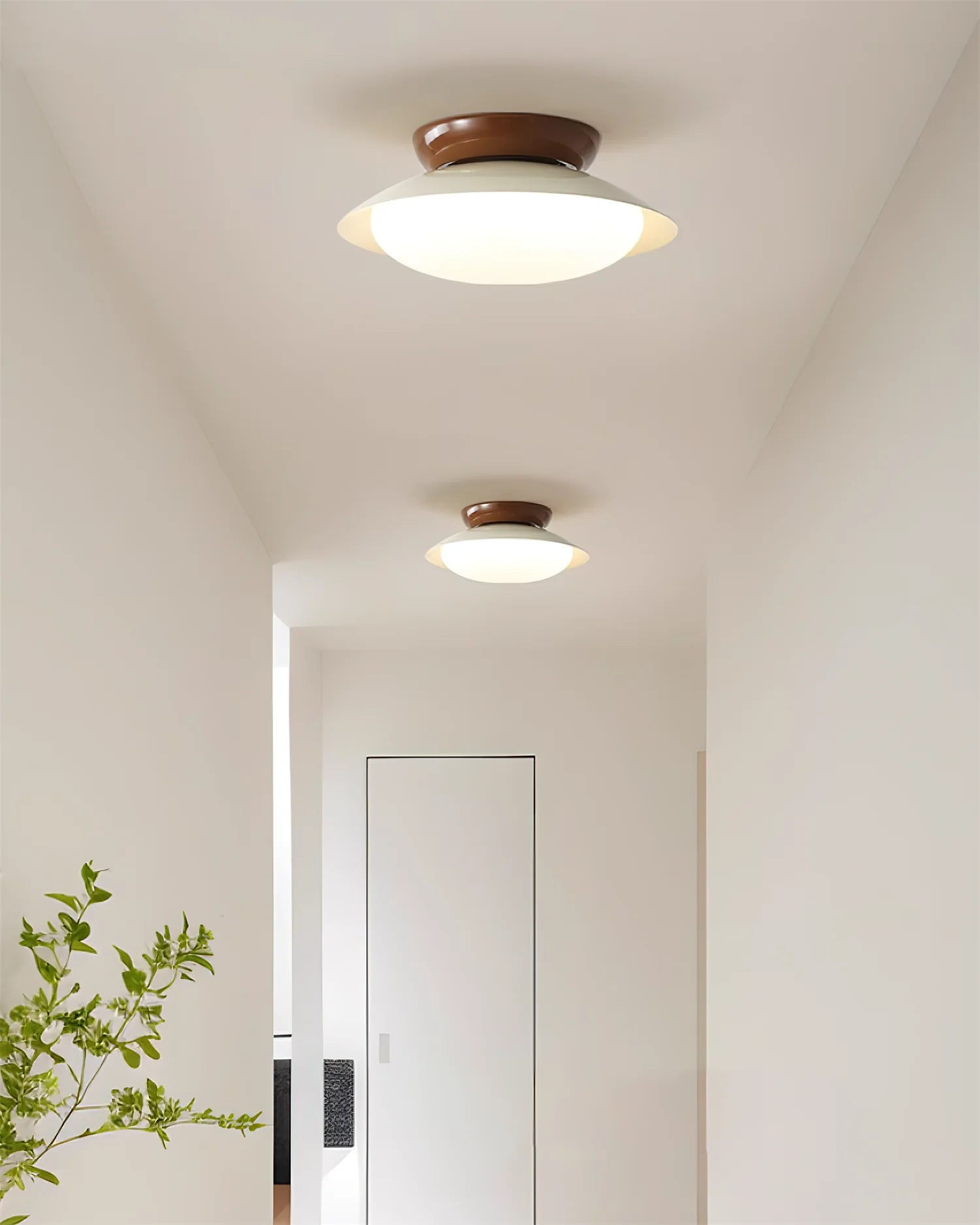 Modern Paulo Ceiling Light - Loonglight