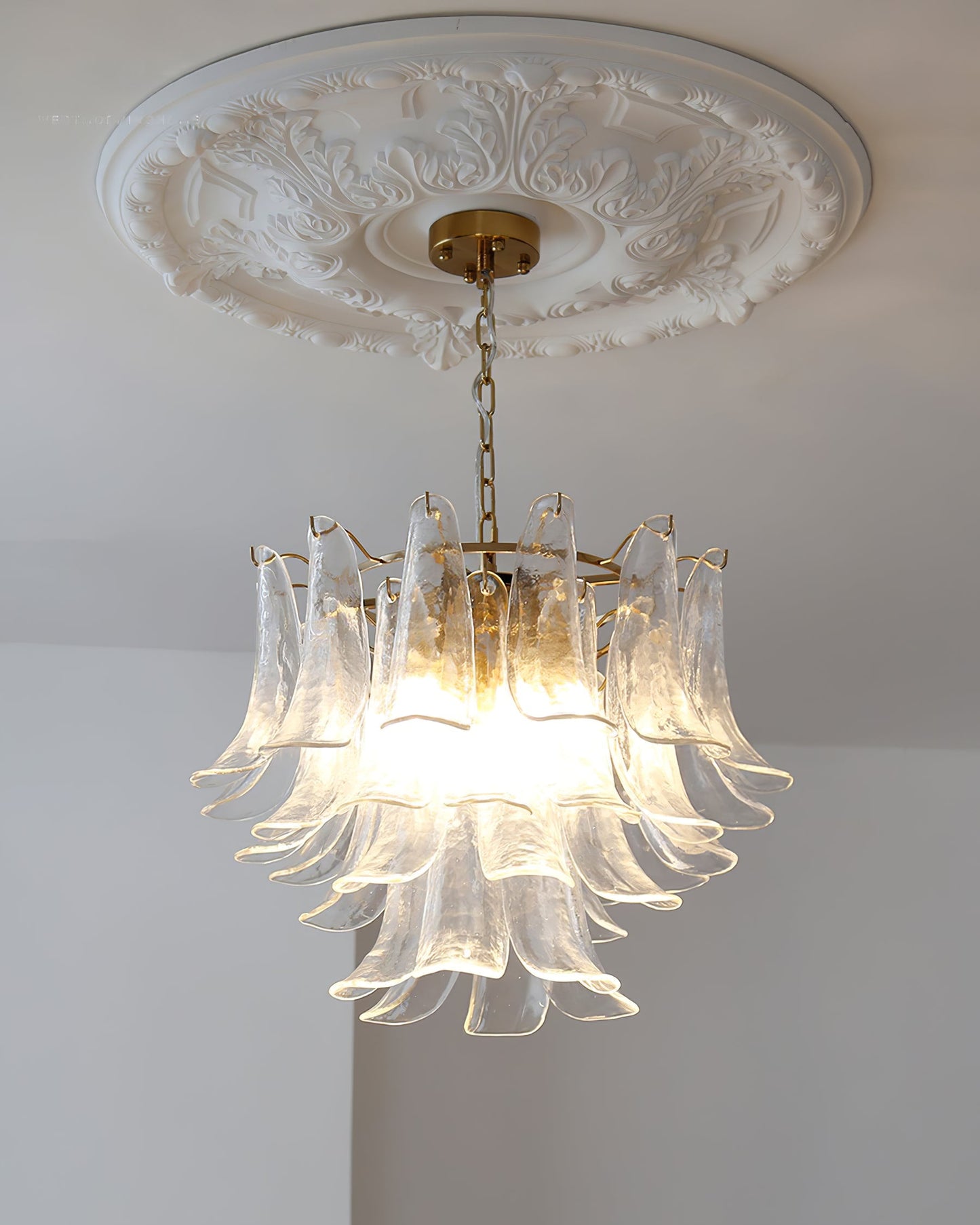 Murano Glass Chandelier - Loonglight