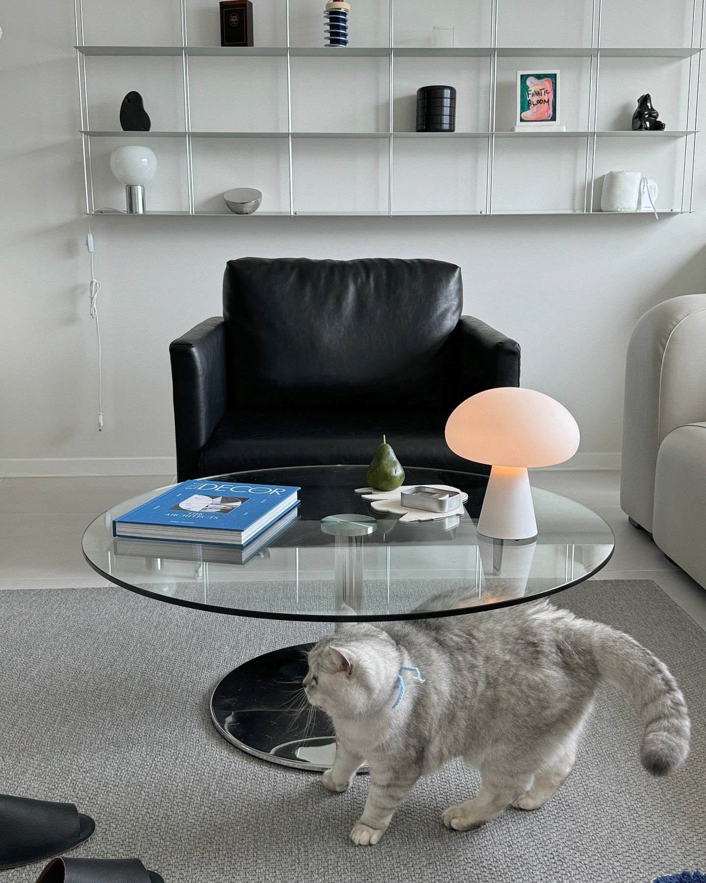 Obello Table Lamp - Loonglight