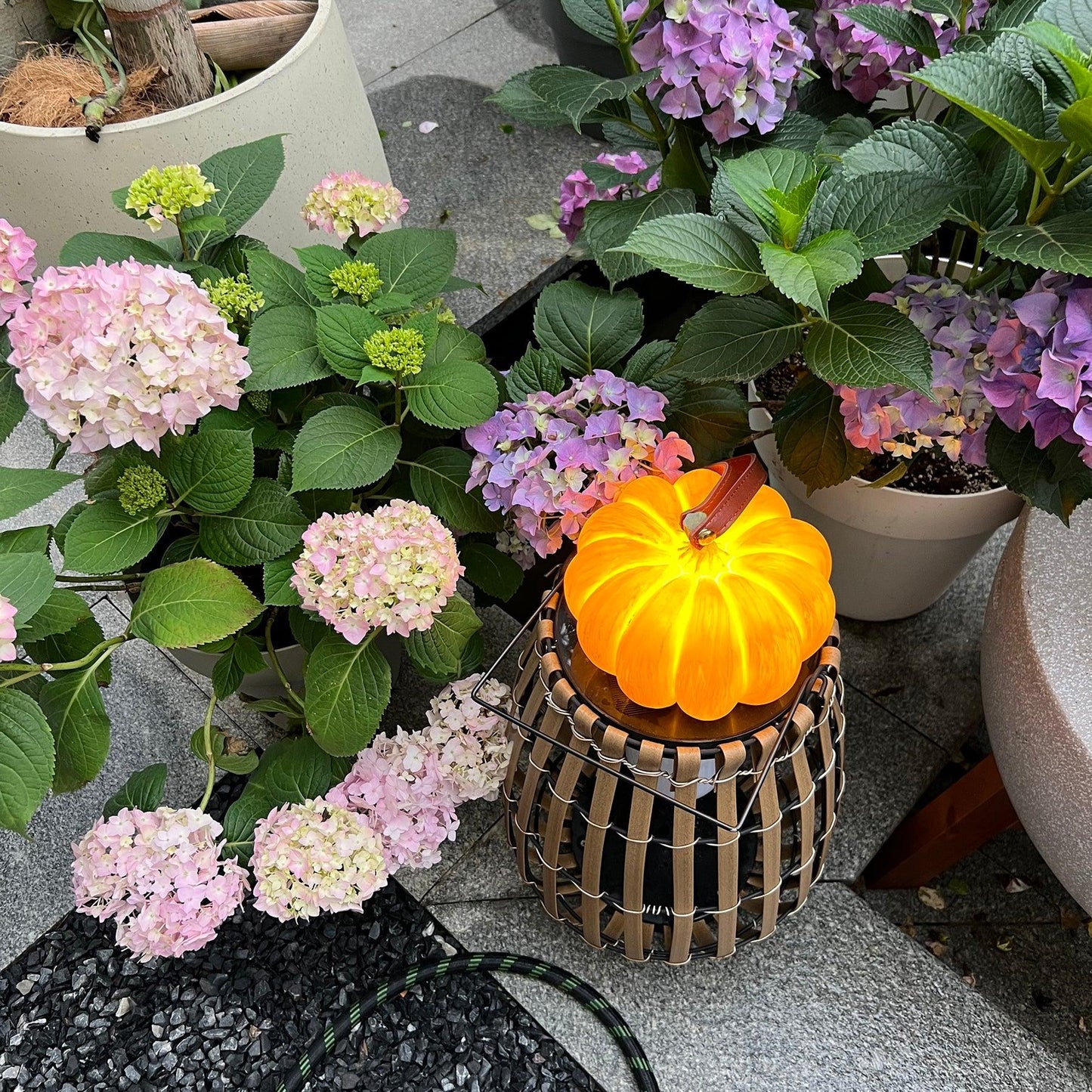 Pumpkin Portable Table Lamp - Loonglight