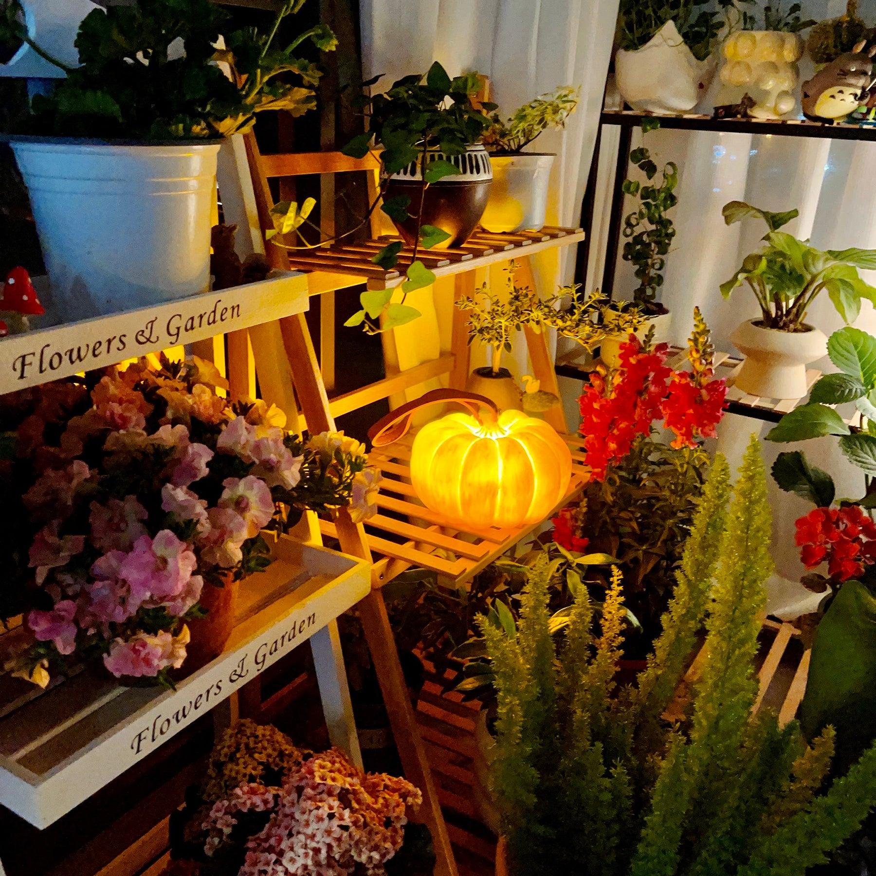 Pumpkin Portable Table Lamp - Loonglight