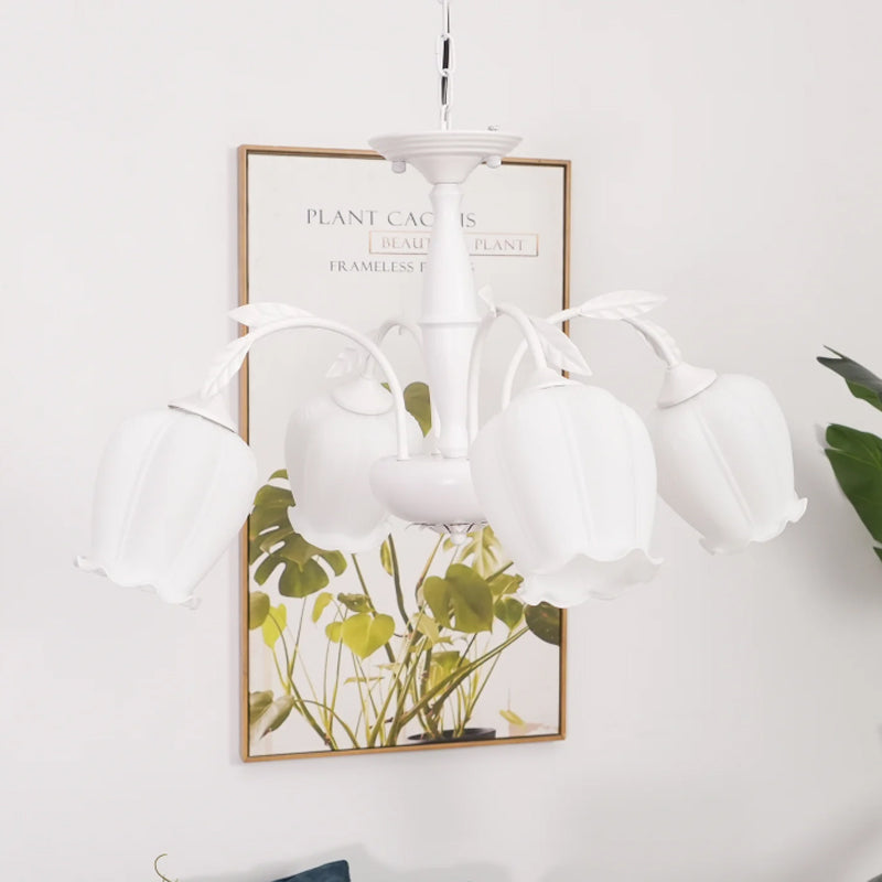 Rococo Chandelier - Loonglight