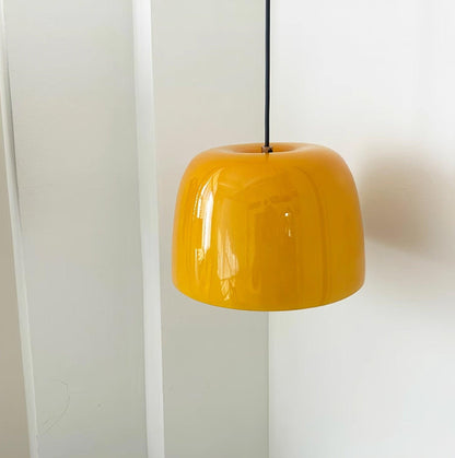 Roxboro Glass Pendant Light - Loonglight