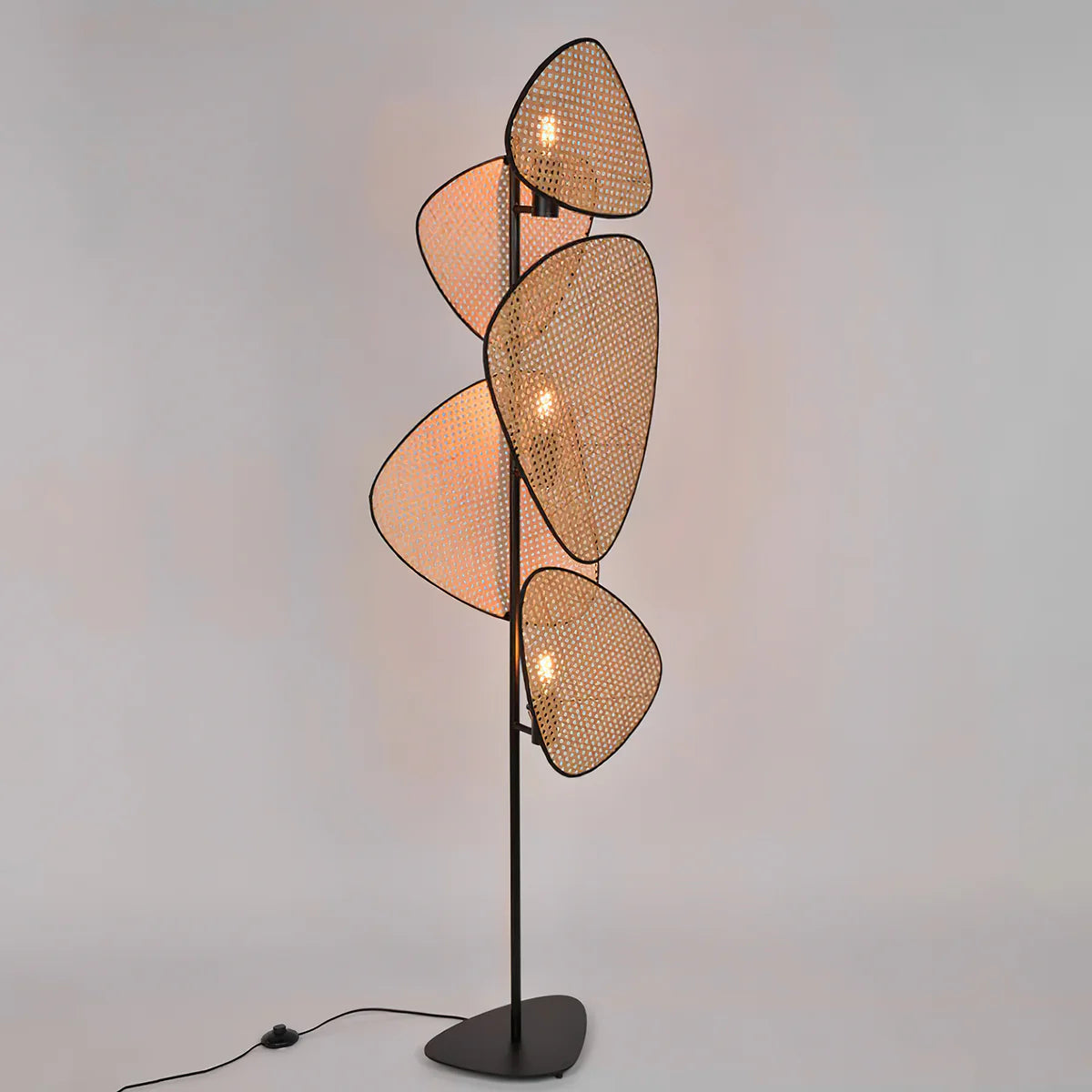 Screen Cannage Floor Lamp - Loonglight