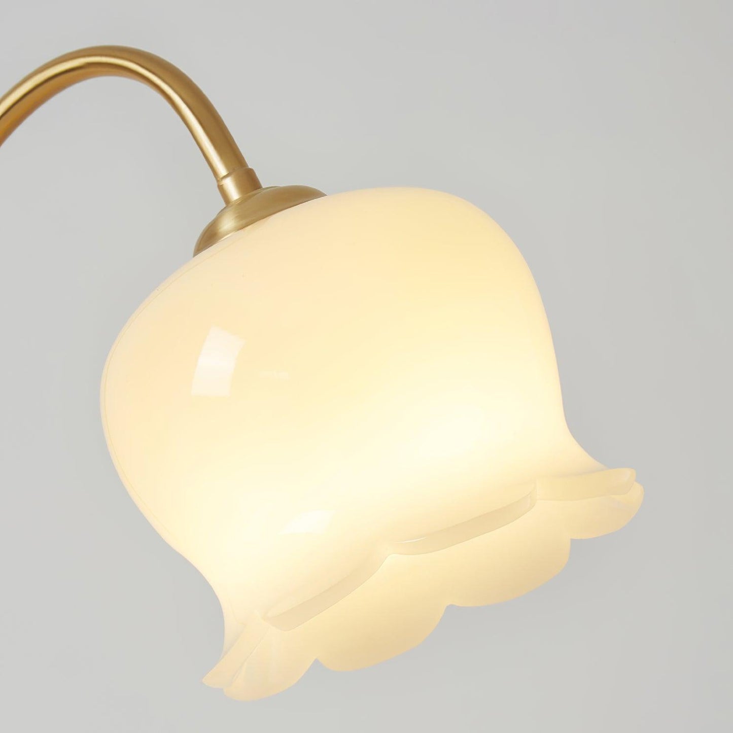 Siena Brass Table Lamp - Loonglight