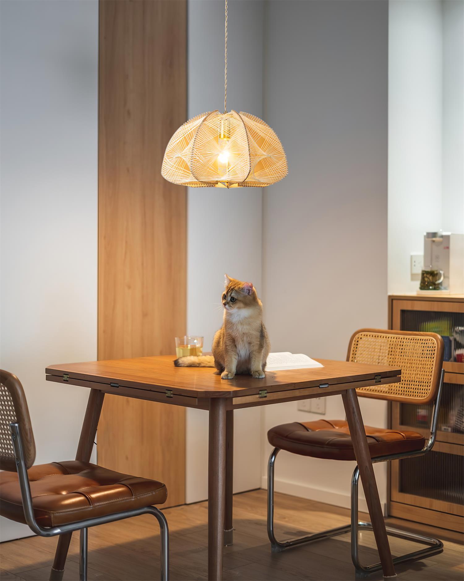 Surya Cage Pendant Light - Loonglight