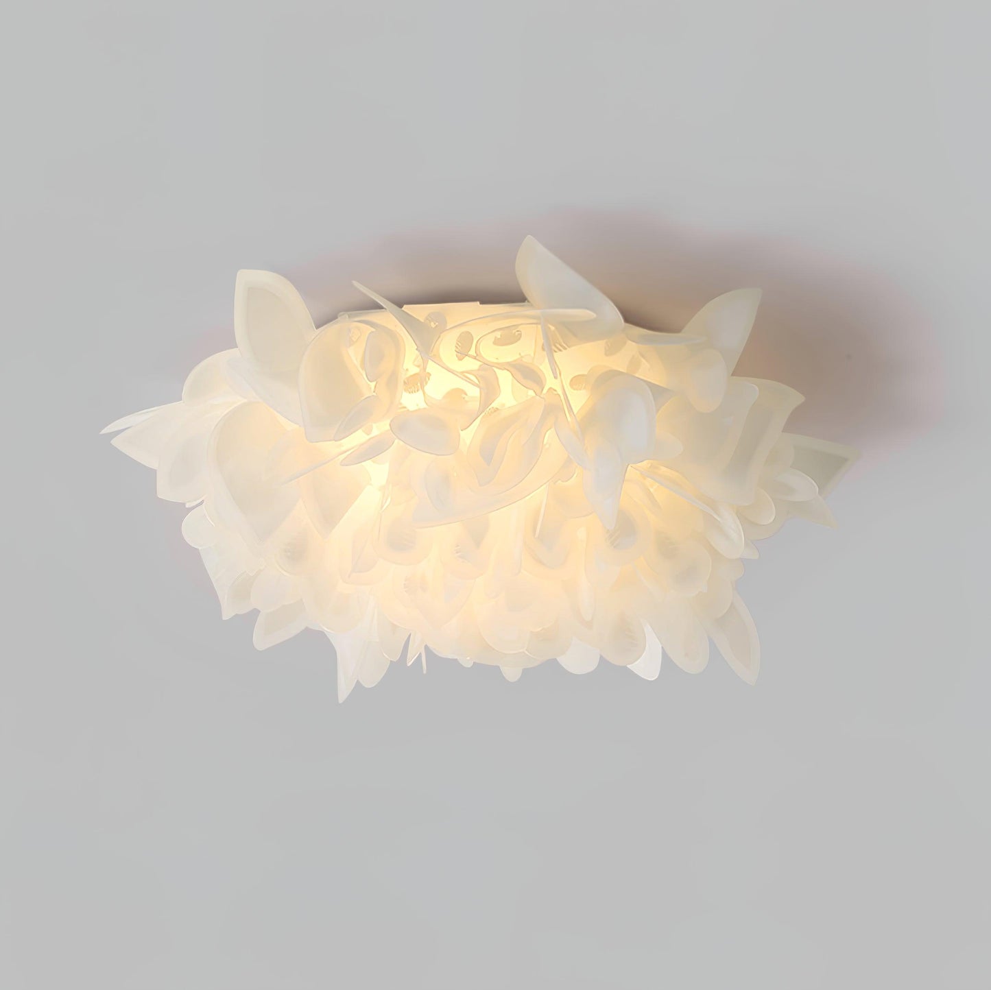 Veli Ceiling Lamp - Loonglight