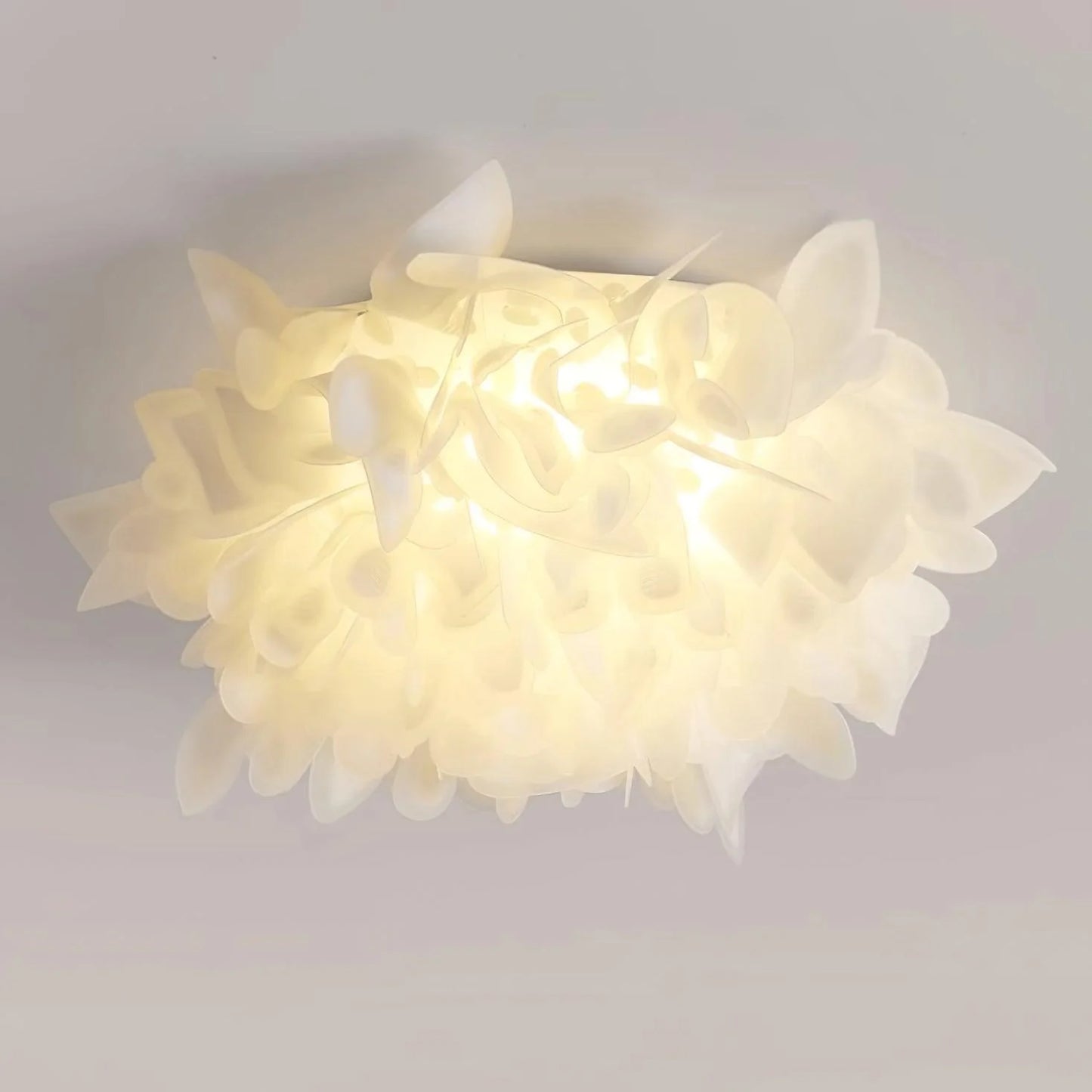Veli Ceiling Lamp - Loonglight