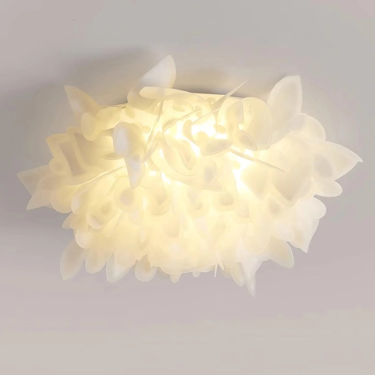 Veli Ceiling Lamp - Loonglight