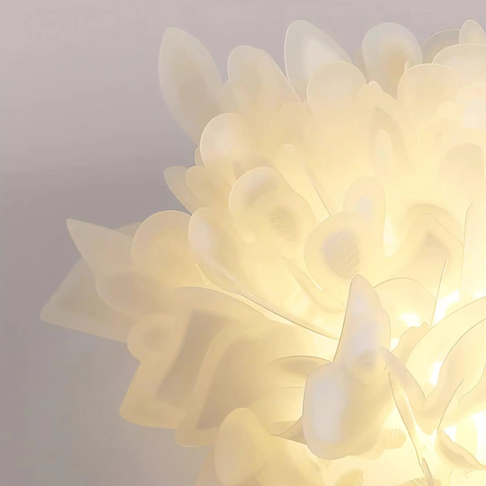 Veli Ceiling Lamp - Loonglight