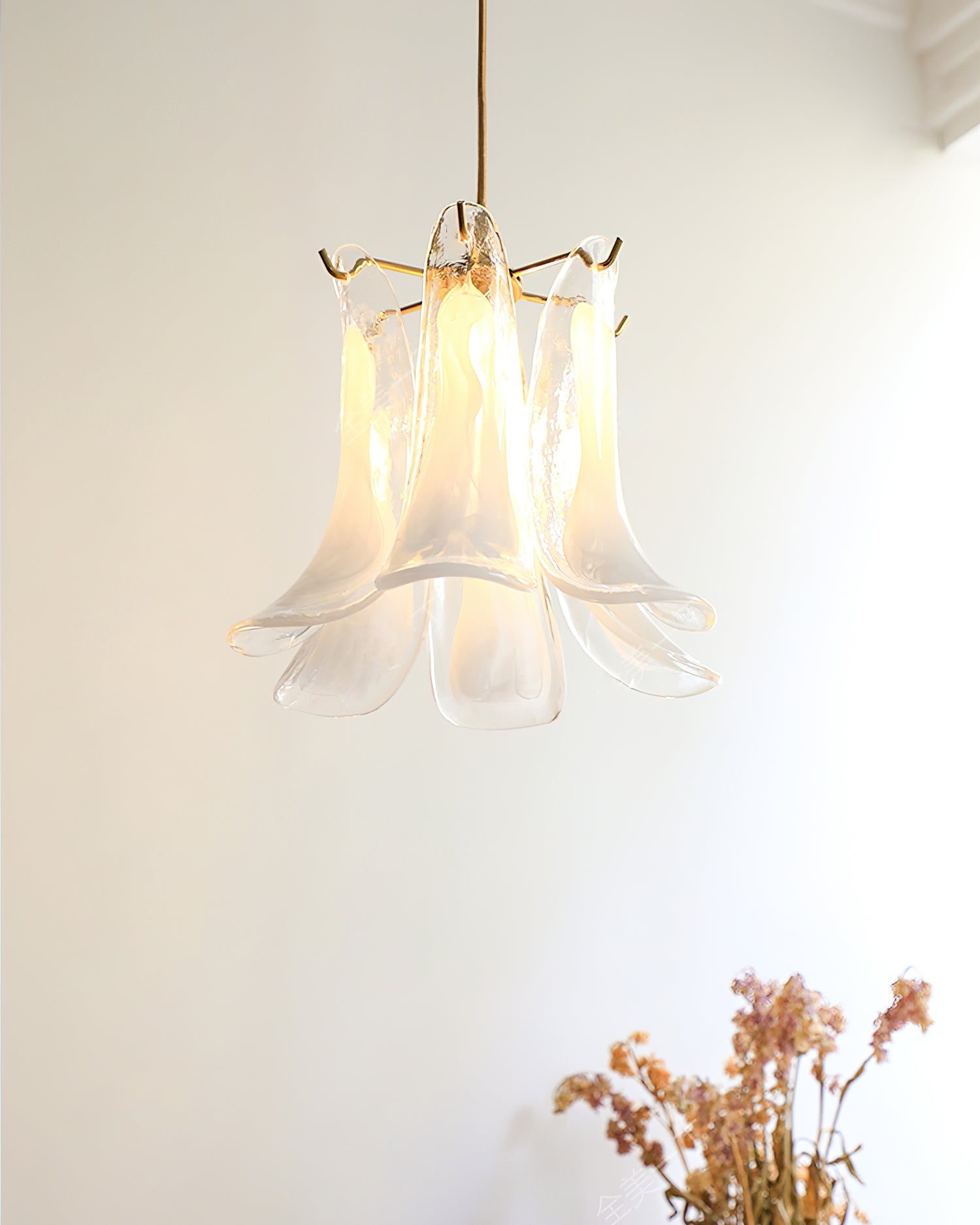 Venini Murano Pendant Light - Loonglight