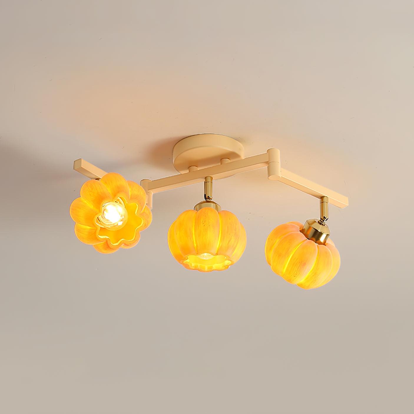 Venus Pumpkin Ceiling Lamp - Loonglight