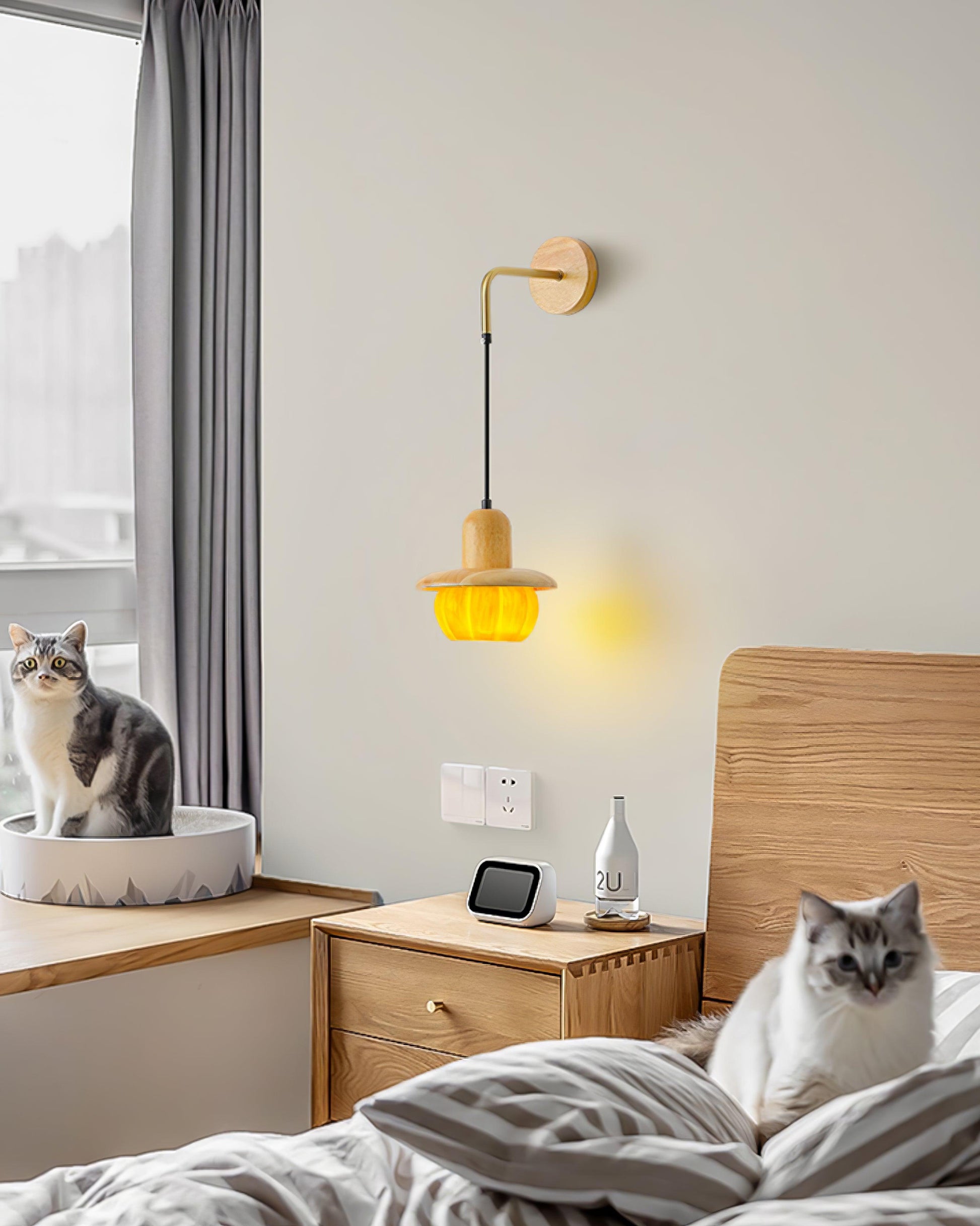 Venus Pumpkin Wall Lamp - Loonglight