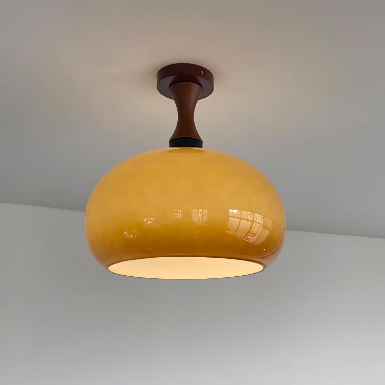 Vintage Murano Ceiling Light - Loonglight