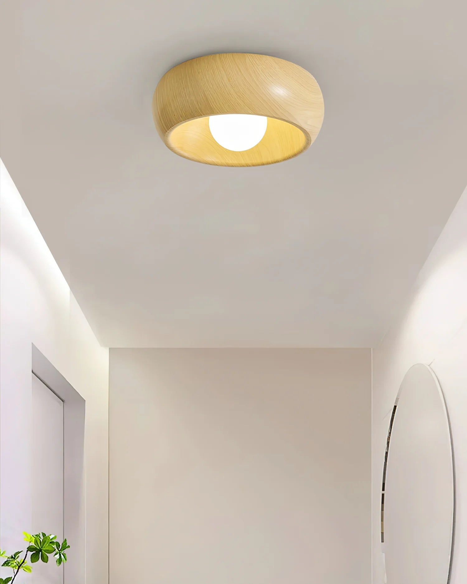 Zuwa Ceiling Light - Loonglight
